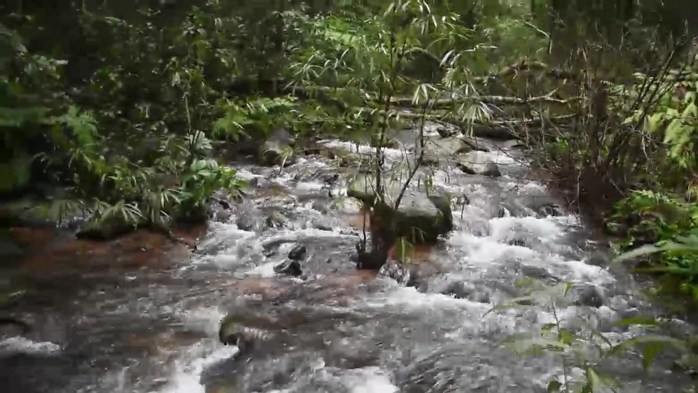 Crossing Water Stream